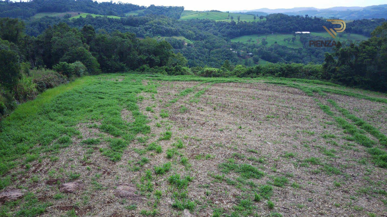 Terreno à venda, 60000M2 - Foto 3