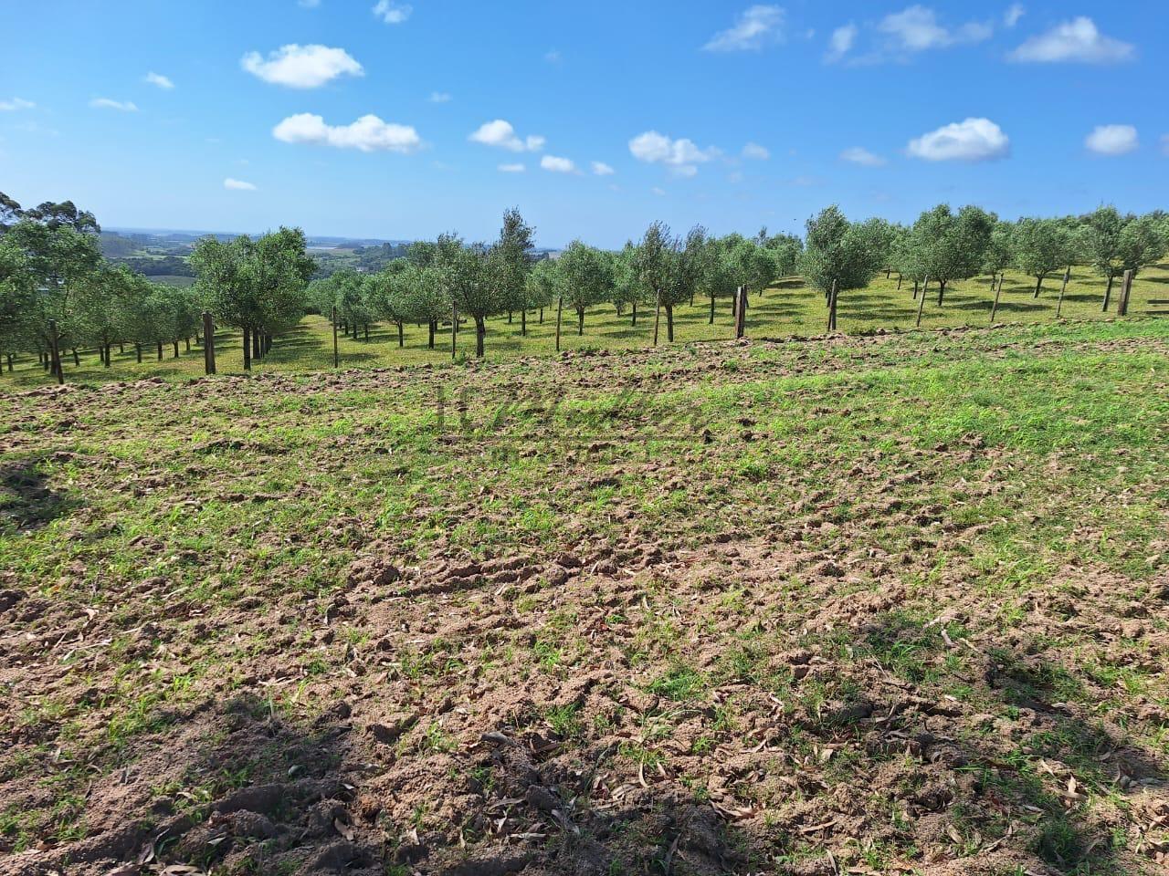Fazenda à venda, 59m² - Foto 15