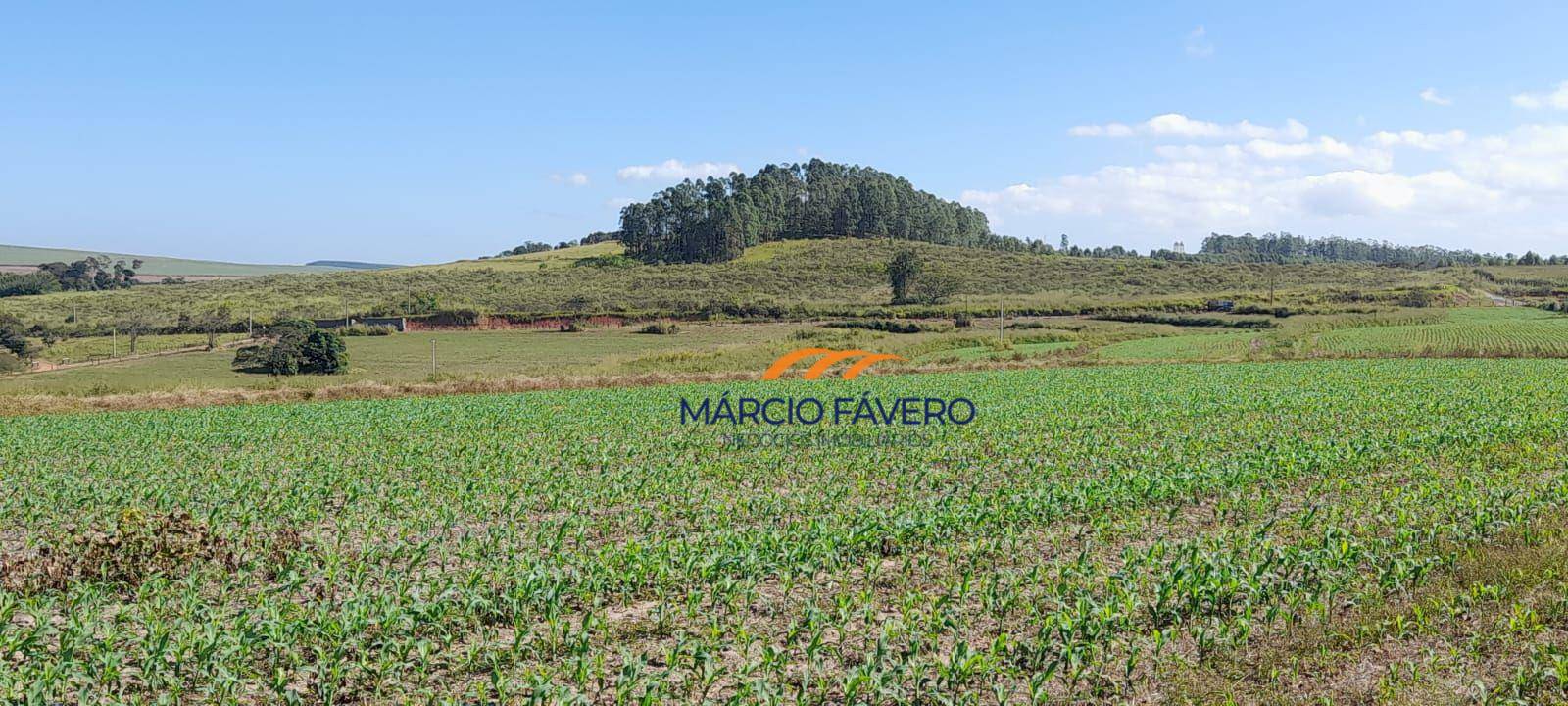 Fazenda, 173 hectares - Foto 2