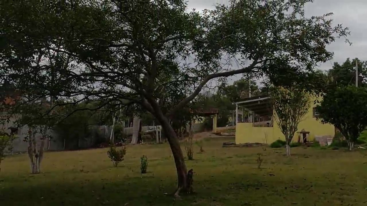 Chácara à venda com 1 quarto, 1200m² - Foto 18