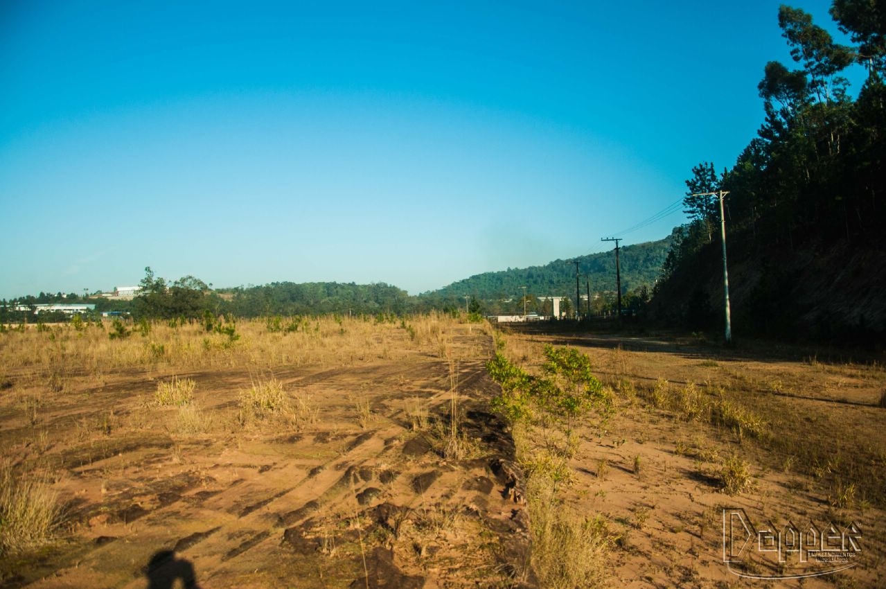 Terreno à venda - Foto 4