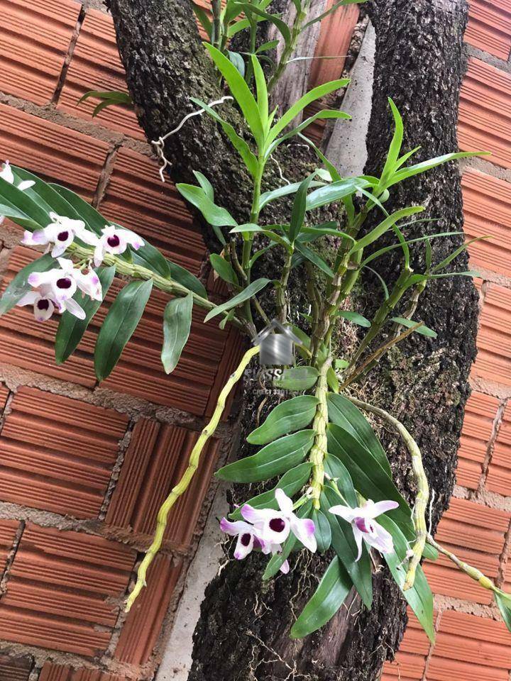 Chácara, 3 quartos, 1200 m² - Foto 18