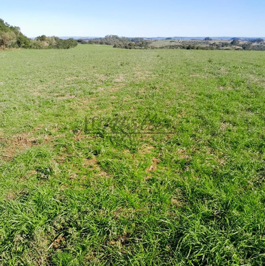 Fazenda à venda, 375m² - Foto 8