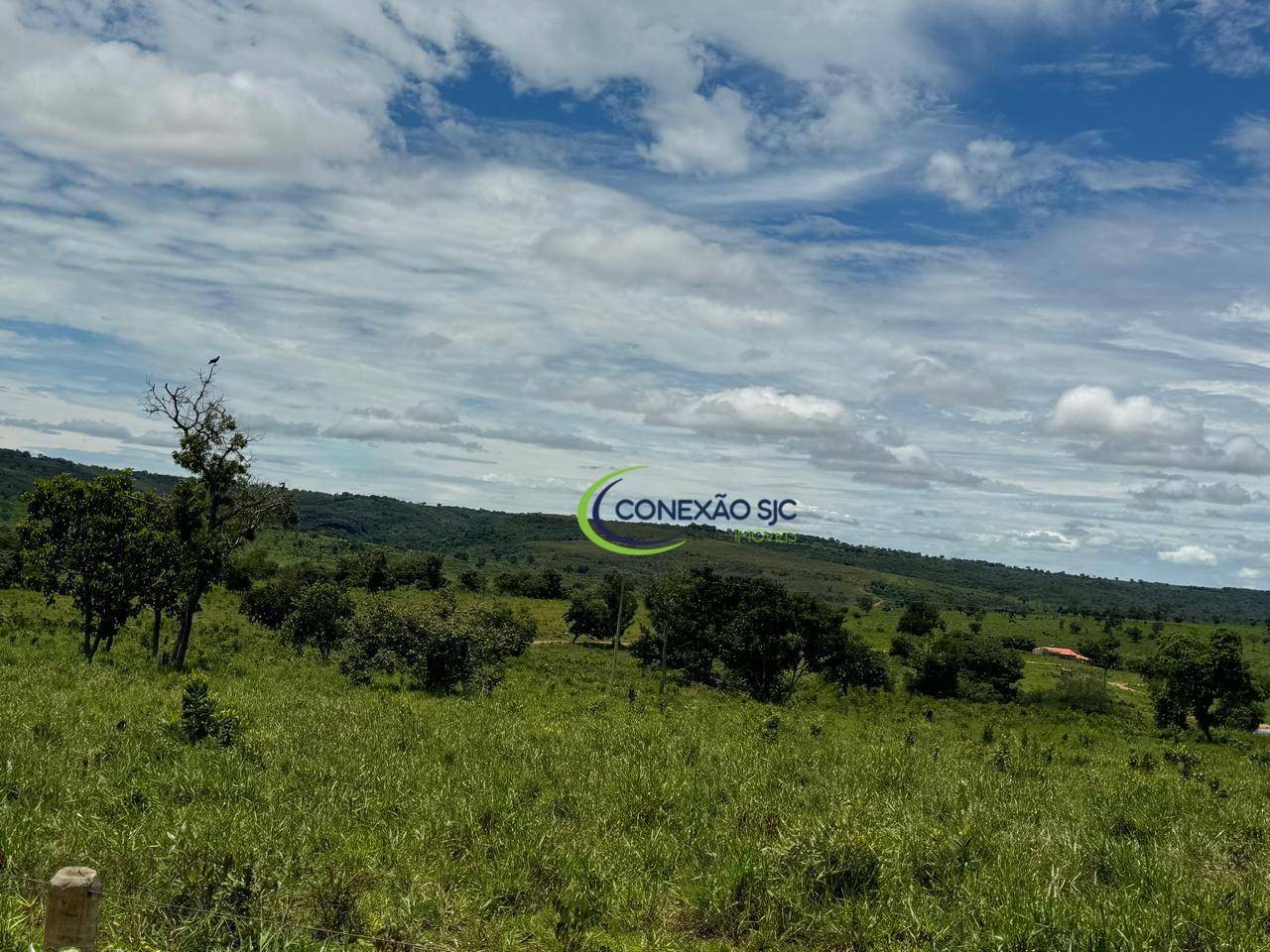 Fazenda à venda com 3 quartos, 19360000M2 - Foto 2