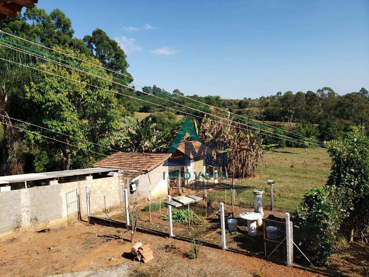 Sítio à venda com 3 quartos, 80000M2 - Foto 5