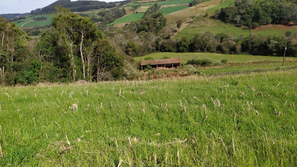 Fazenda à venda com 4 quartos, 12m² - Foto 11