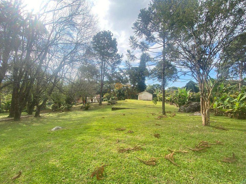 Casa à venda com 5 quartos, 10000m² - Foto 23