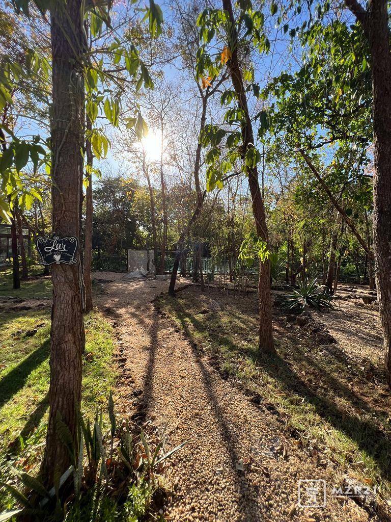 Chácara à venda com 4 quartos, 6000M2 - Foto 48