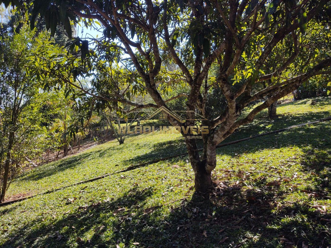 Fazenda à venda, 36000m² - Foto 21