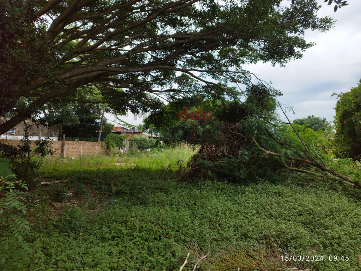 Terreno à venda, 3120m² - Foto 3