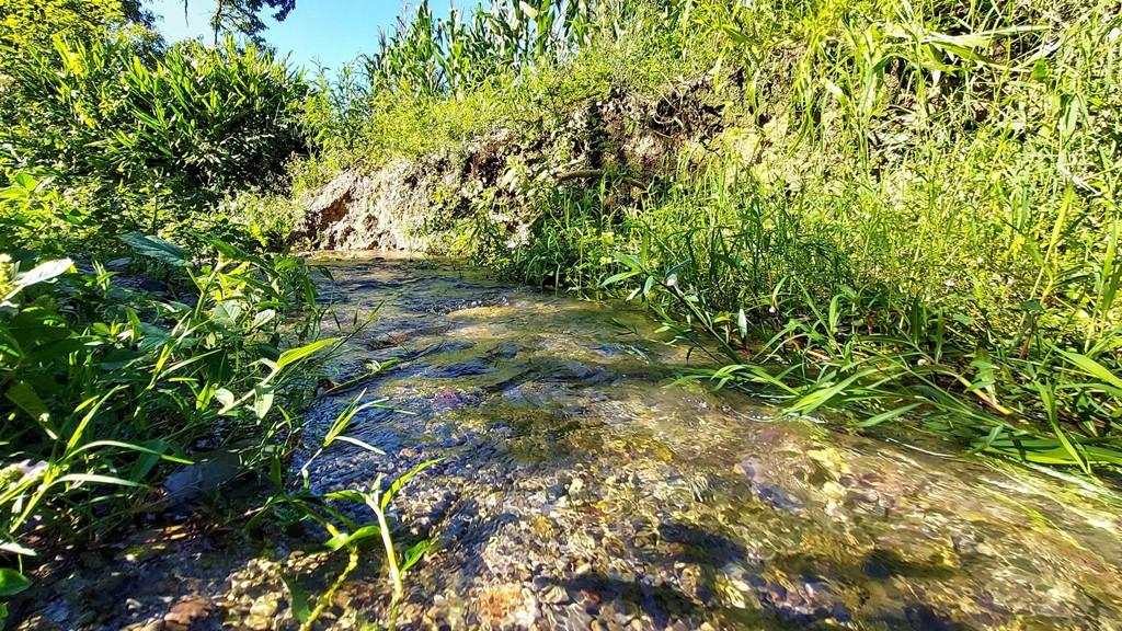 Fazenda à venda, 100000m² - Foto 4