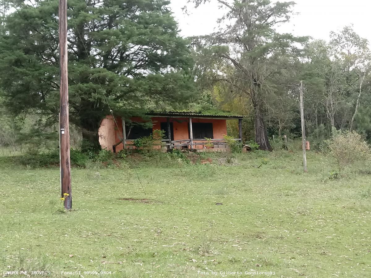 Fazenda à venda com 4 quartos, 160000m² - Foto 5