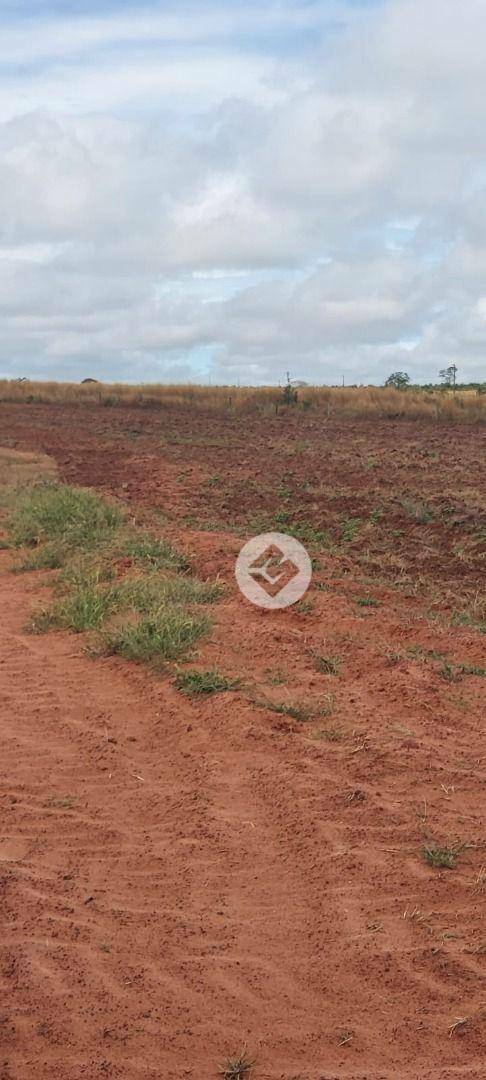 Fazenda à venda, 2500000M2 - Foto 10