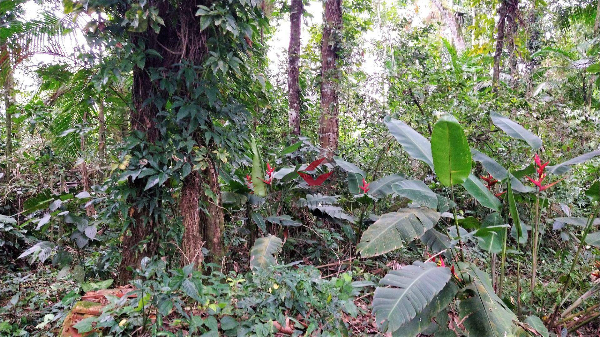 Loteamento e Condomínio à venda, 384M2 - Foto 8