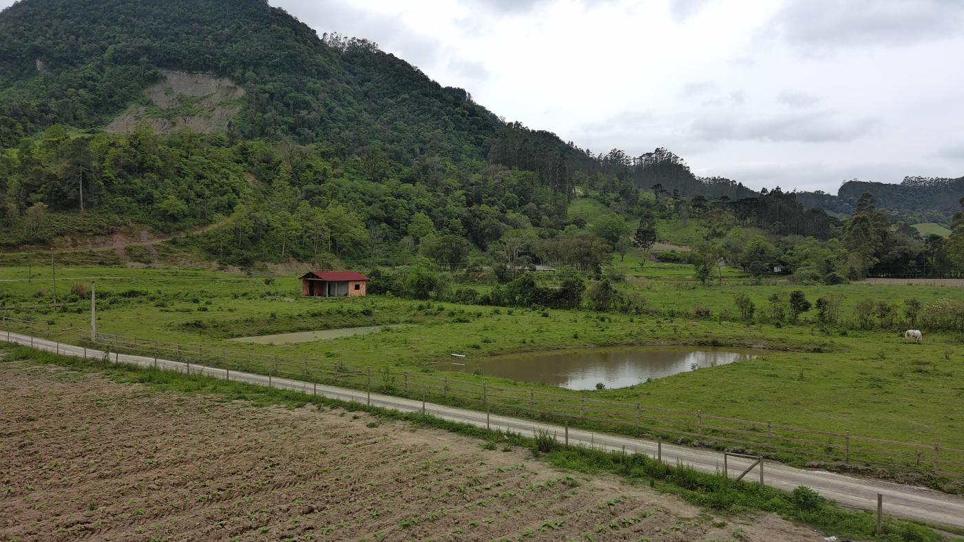 Fazenda à venda com 1 quarto, 10000m² - Foto 38