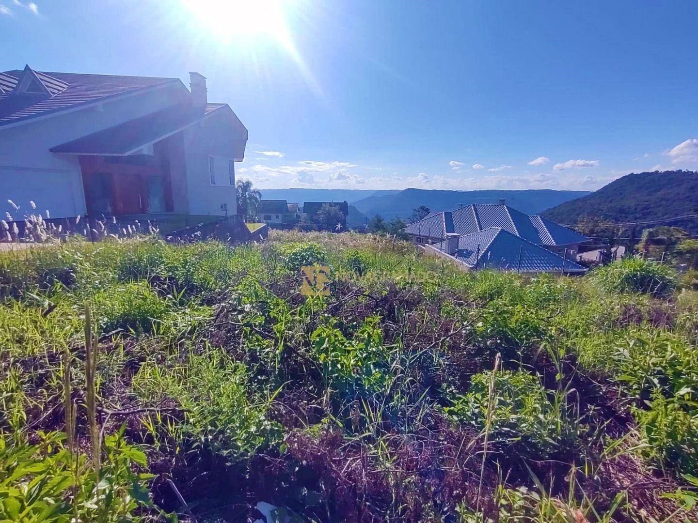 Terreno, 529 m² - Foto 4