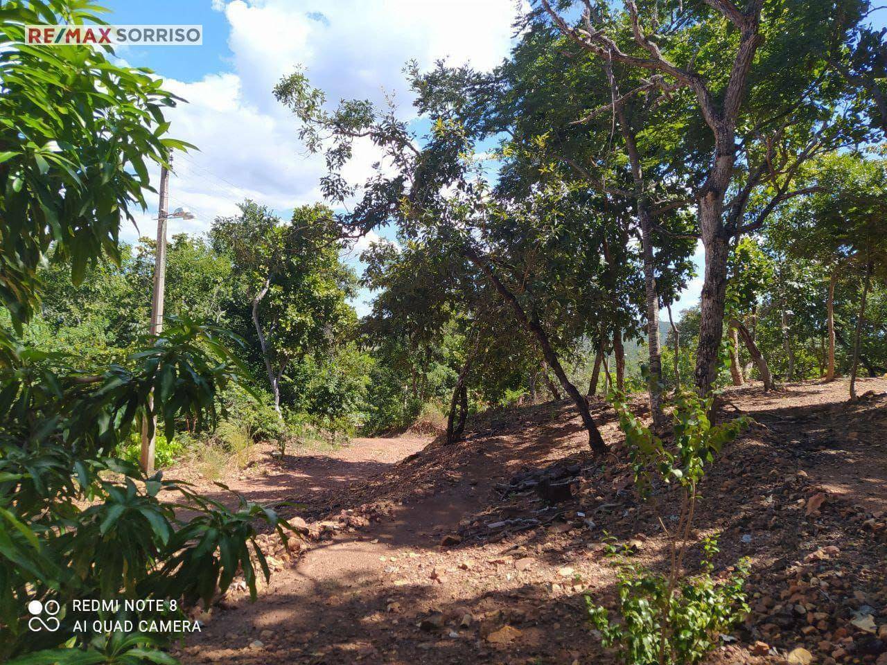 Fazenda à venda com 5 quartos, 597m² - Foto 8