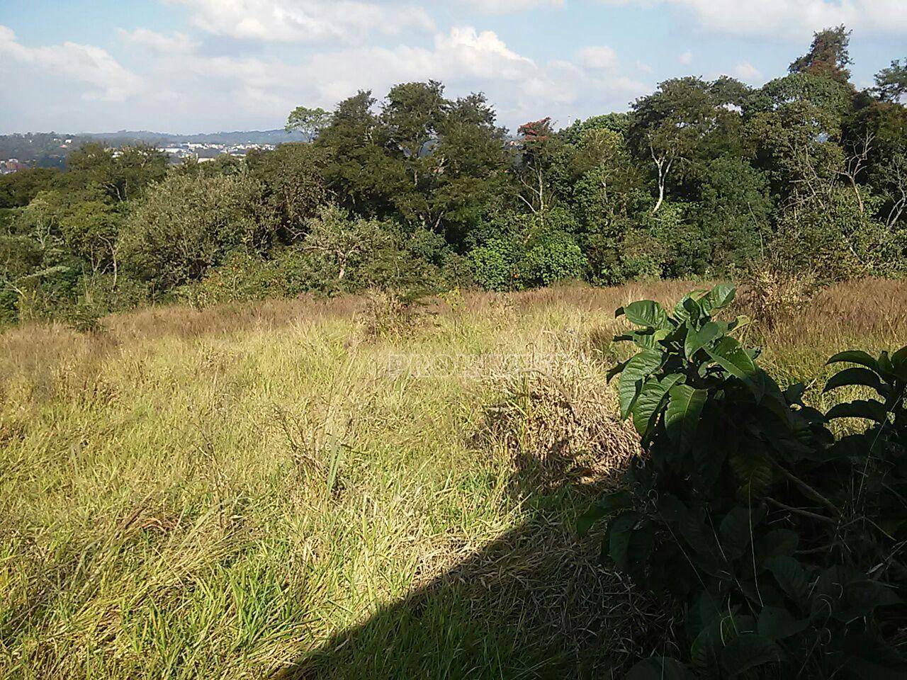 Terreno à venda, 5000M2 - Foto 2