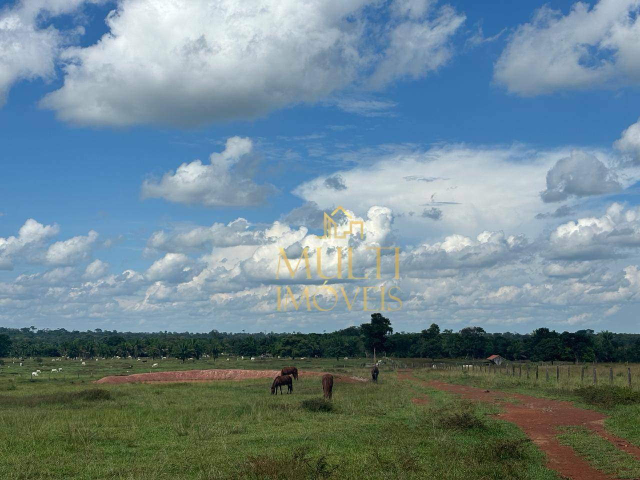 Fazenda à venda, 4840000M2 - Foto 8