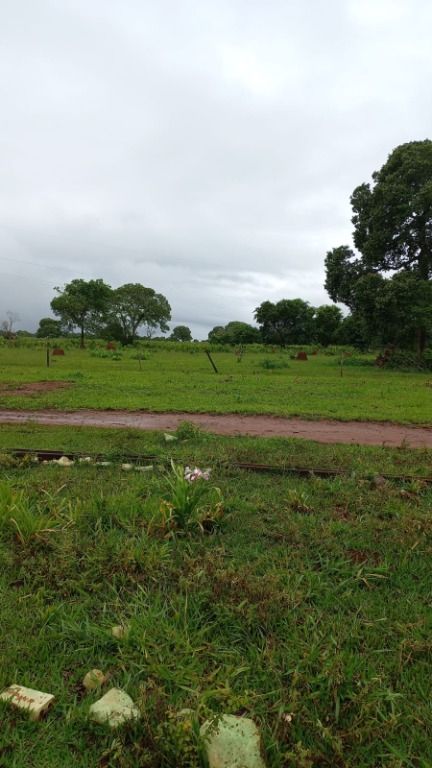 Fazenda à venda com 1 quarto, 4017200m² - Foto 8