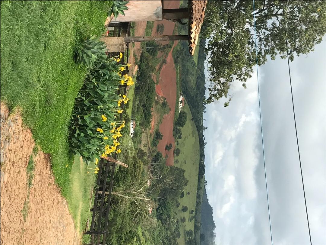 Fazenda à venda com 4 quartos, 1064800M2 - Foto 8