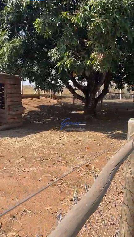 Chácara, 3 quartos, 5000 m² - Foto 28