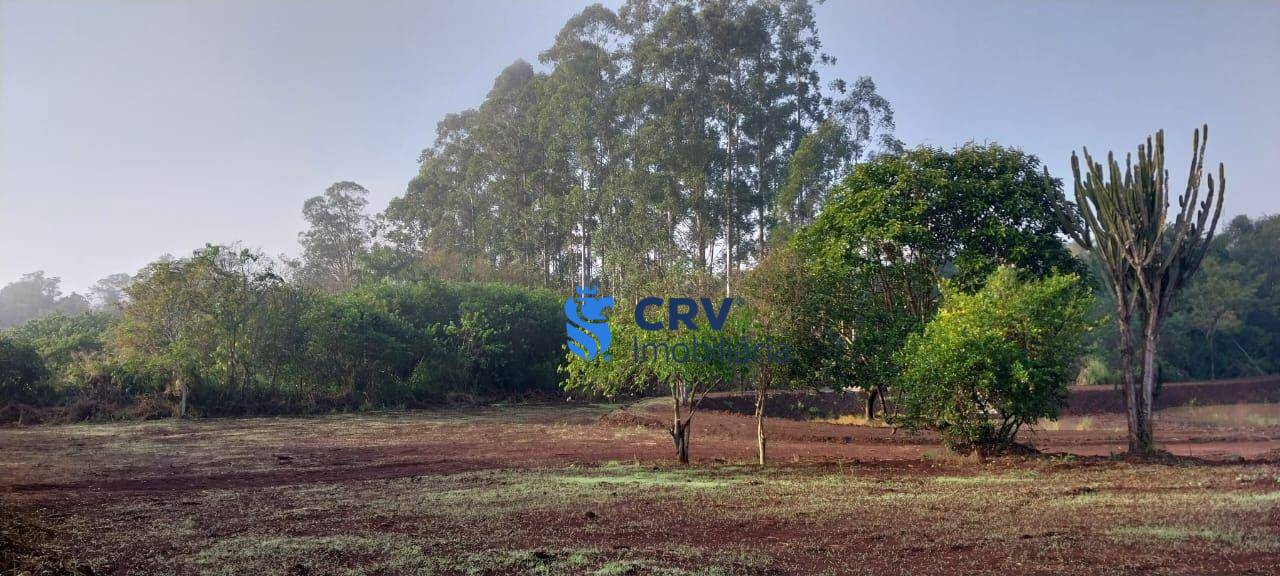 Sítio, 3 hectares - Foto 14