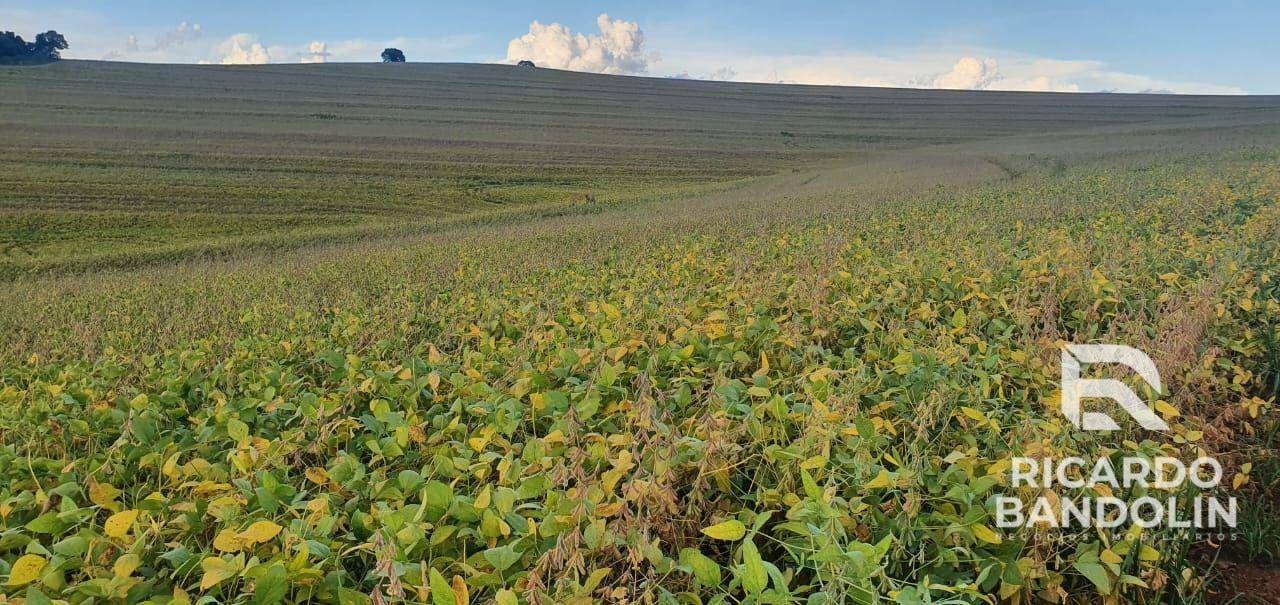 Fazenda à venda, 2057000M2 - Foto 1