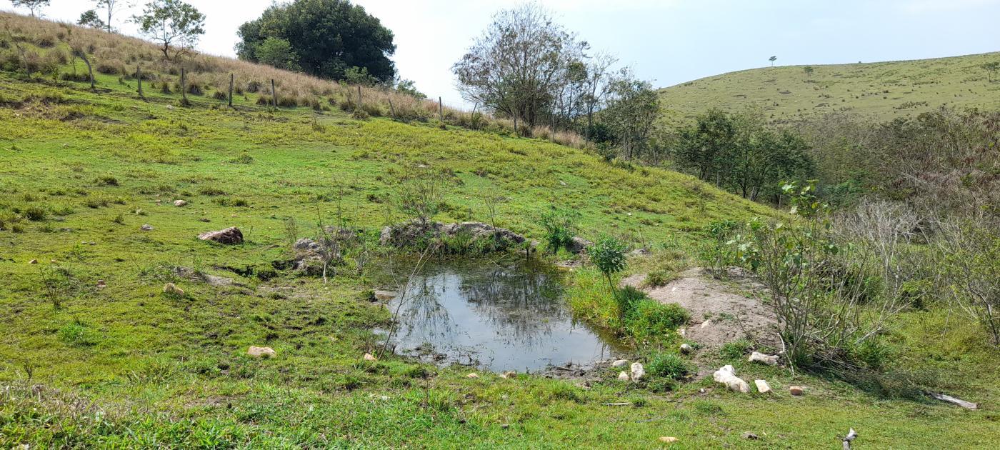 Fazenda à venda com 2 quartos, 20000m² - Foto 7