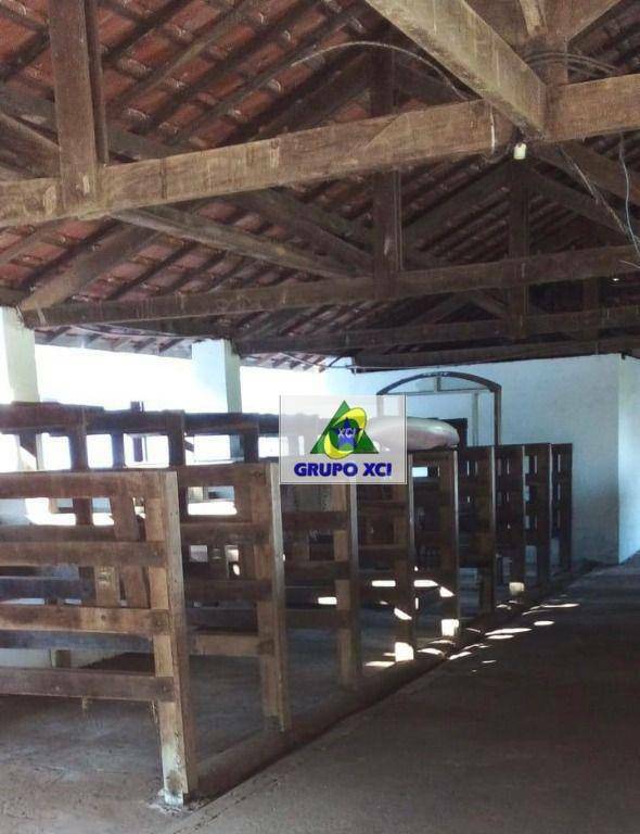 Haras e Área Rural Padrão à venda com 16 quartos, 300000M2 - Foto 62