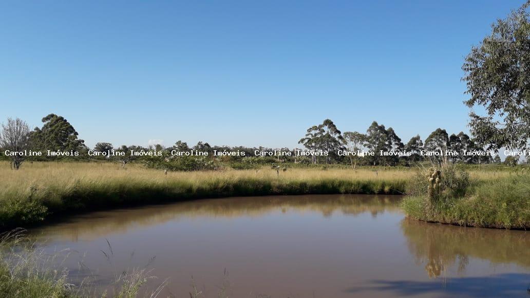 Fazenda à venda com 4 quartos, 300m² - Foto 31