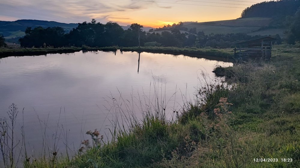 Fazenda, 24 hectares - Foto 9