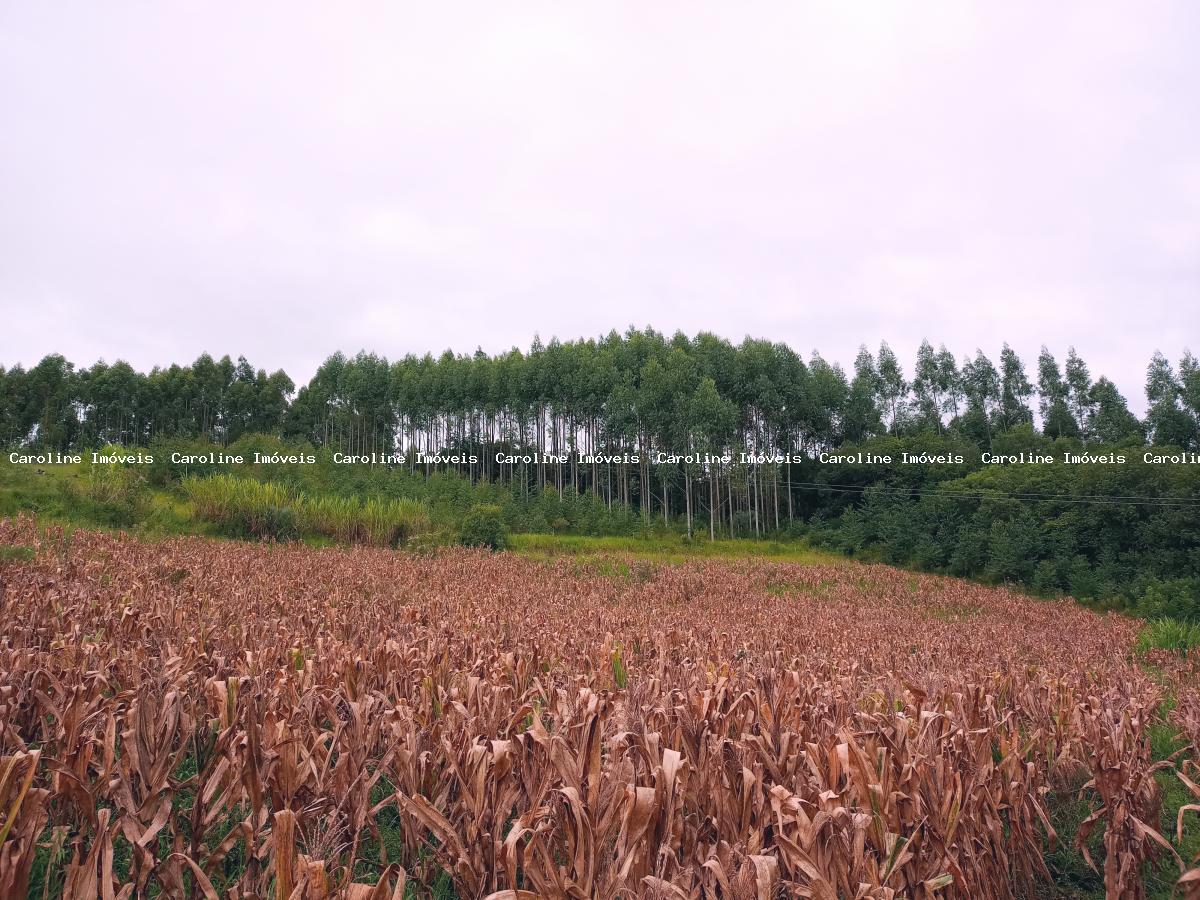 Chácara à venda, 45000m² - Foto 5