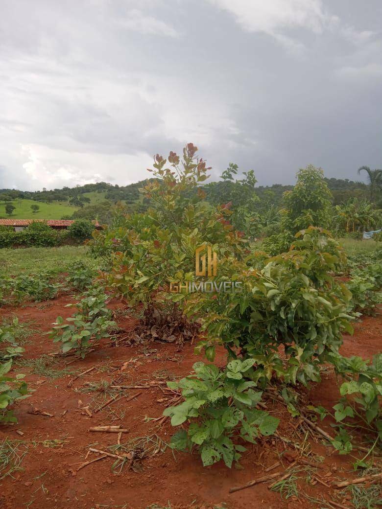 Chácara à venda com 3 quartos, 300m² - Foto 9