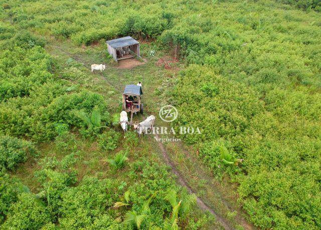 Fazenda à venda, 9570000M2 - Foto 3