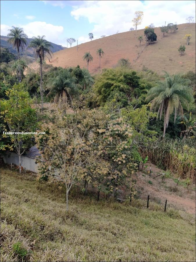 Fazenda à venda com 6 quartos, 53000m² - Foto 31