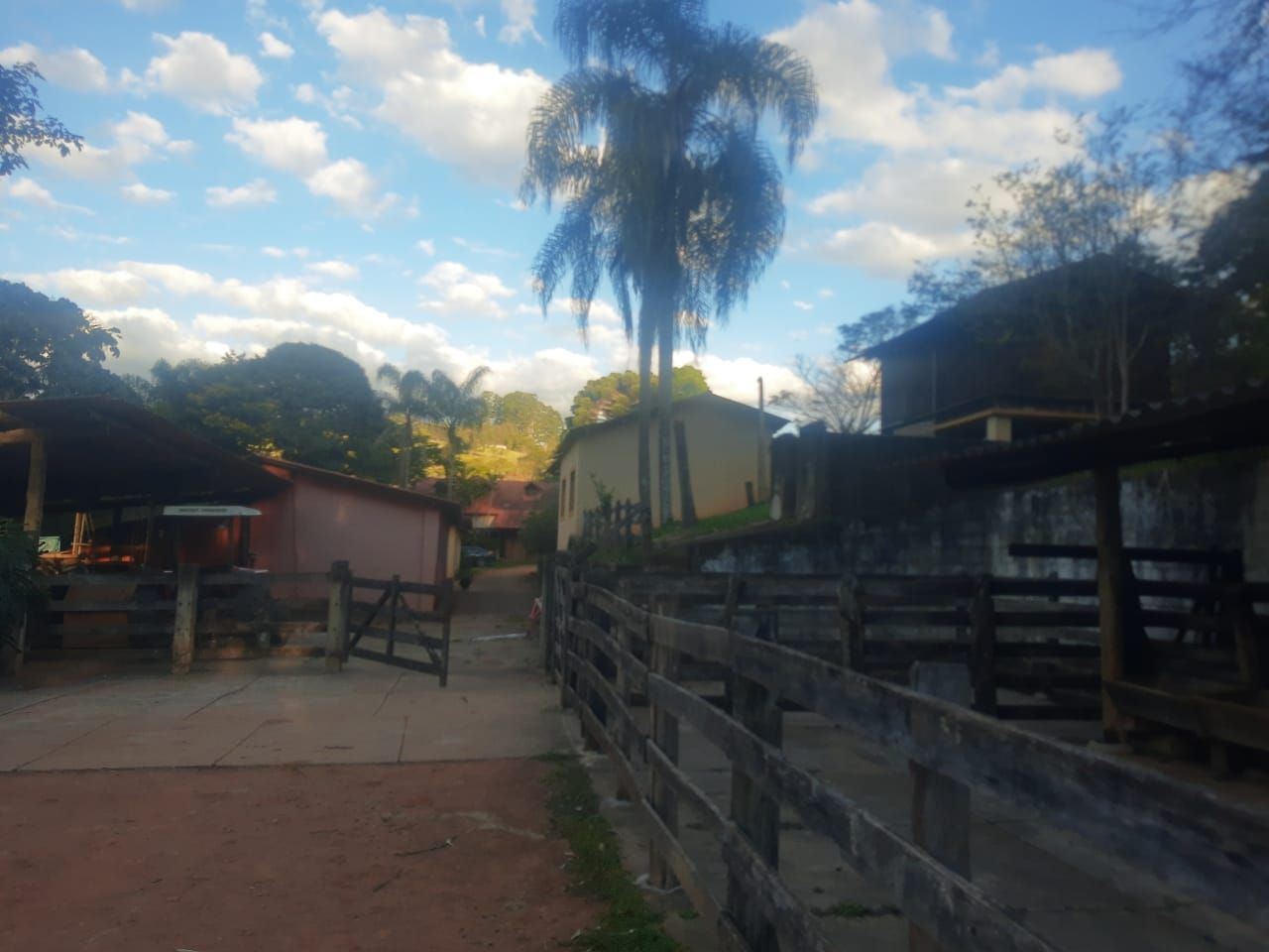 Fazenda à venda com 6 quartos, 2140000M2 - Foto 4