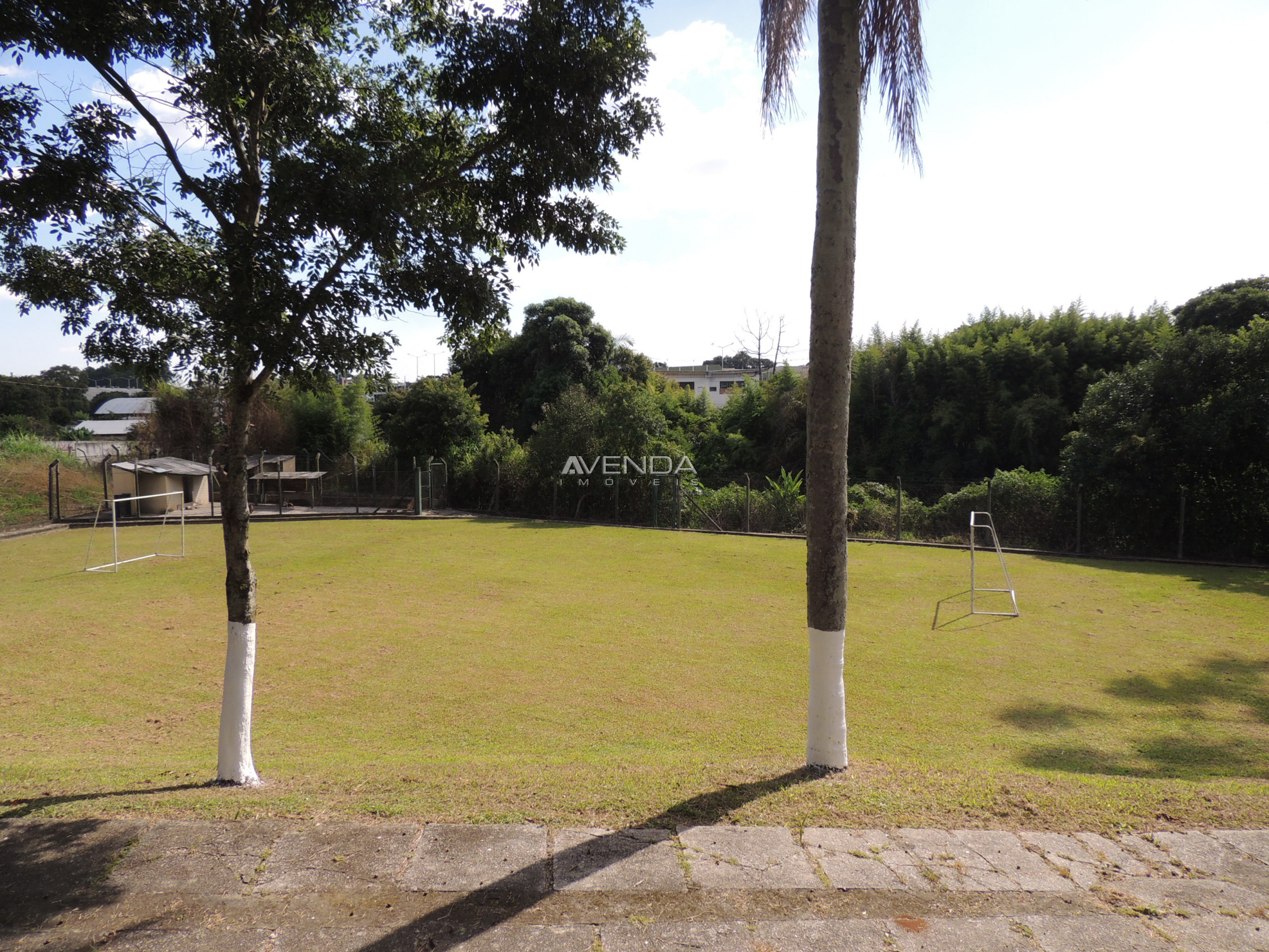 Fazenda à venda com 4 quartos, 1100m² - Foto 9