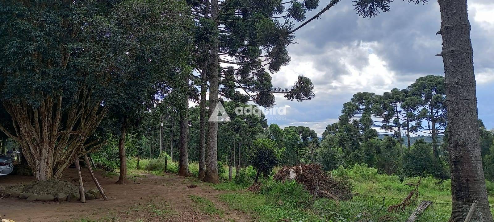 Fazenda-Sítio-Chácara, 28 hectares - Foto 1