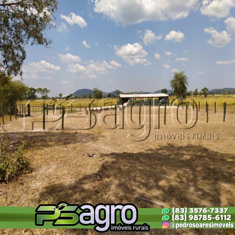 Fazenda à venda, 30000000M2 - Foto 4