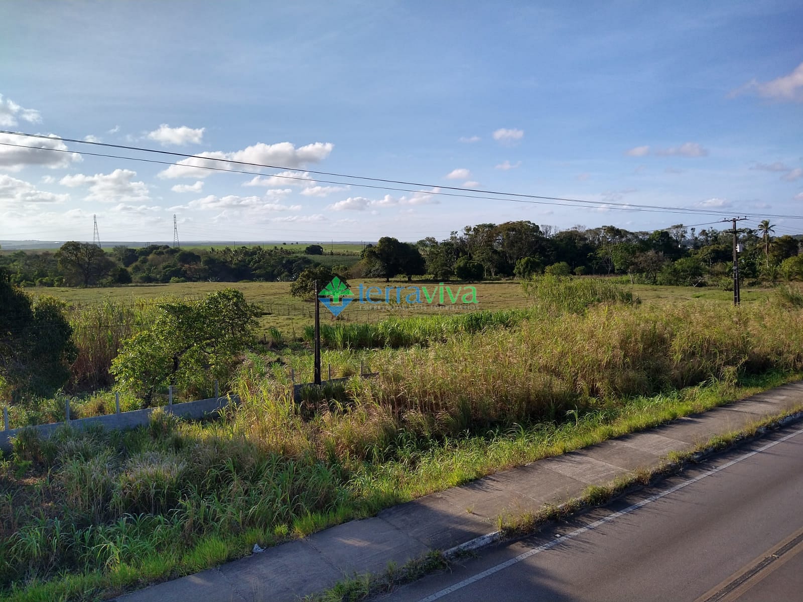 Fazenda-Sítio-Chácara, 19 hectares - Foto 4