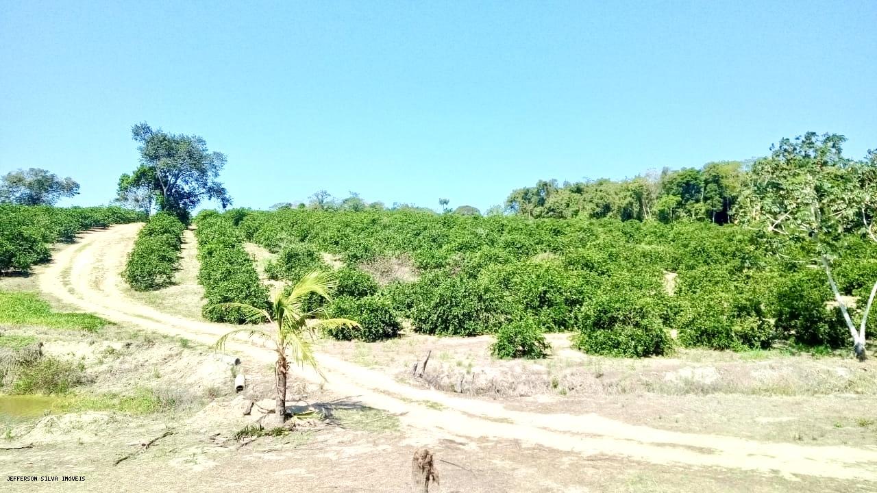 Fazenda à venda, 500000m² - Foto 7