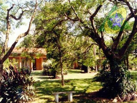 Terreno, 3 hectares - Foto 5