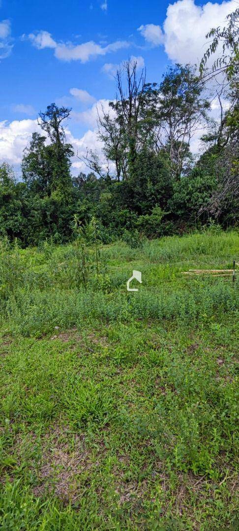 Terreno à venda, 365M2 - Foto 7