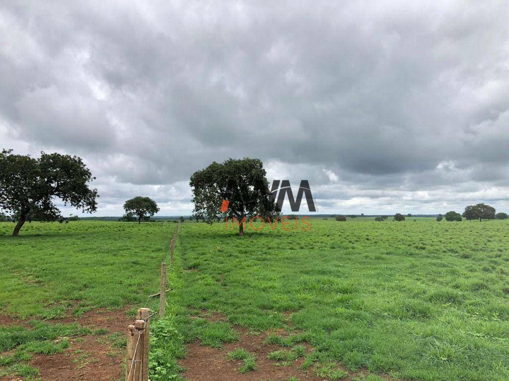 Fazenda à venda, 44286000M2 - Foto 12