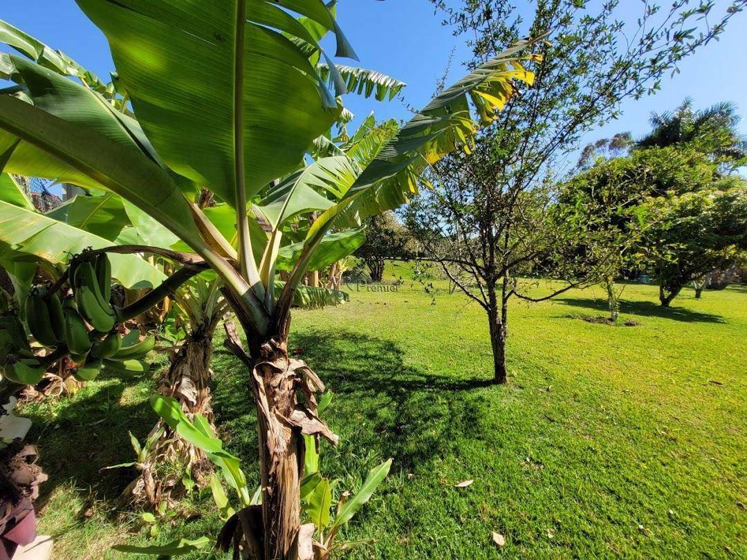 Chácara à venda com 3 quartos, 2500m² - Foto 12