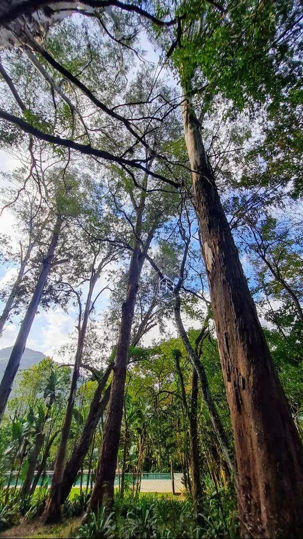 Chácara à venda com 4 quartos, 10000M2 - Foto 10