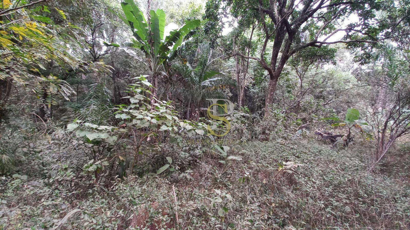 Terreno à venda, 7000M2 - Foto 9