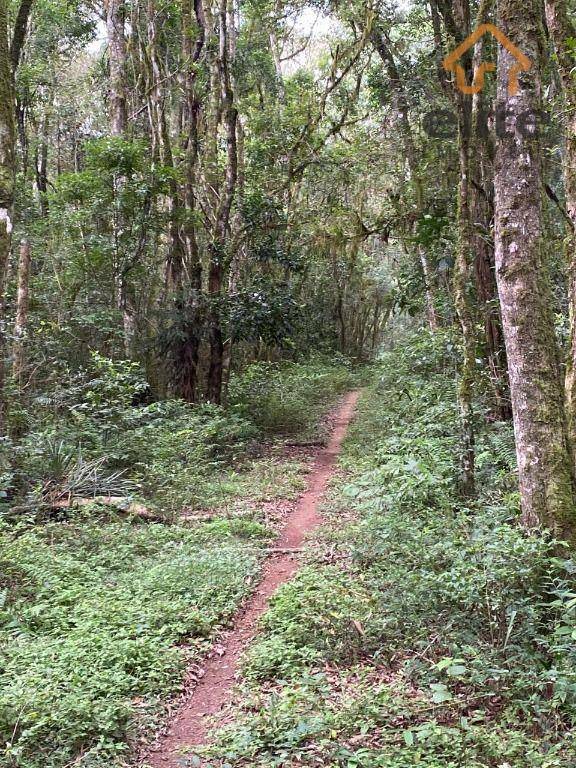 Fazenda à venda, 948000M2 - Foto 3