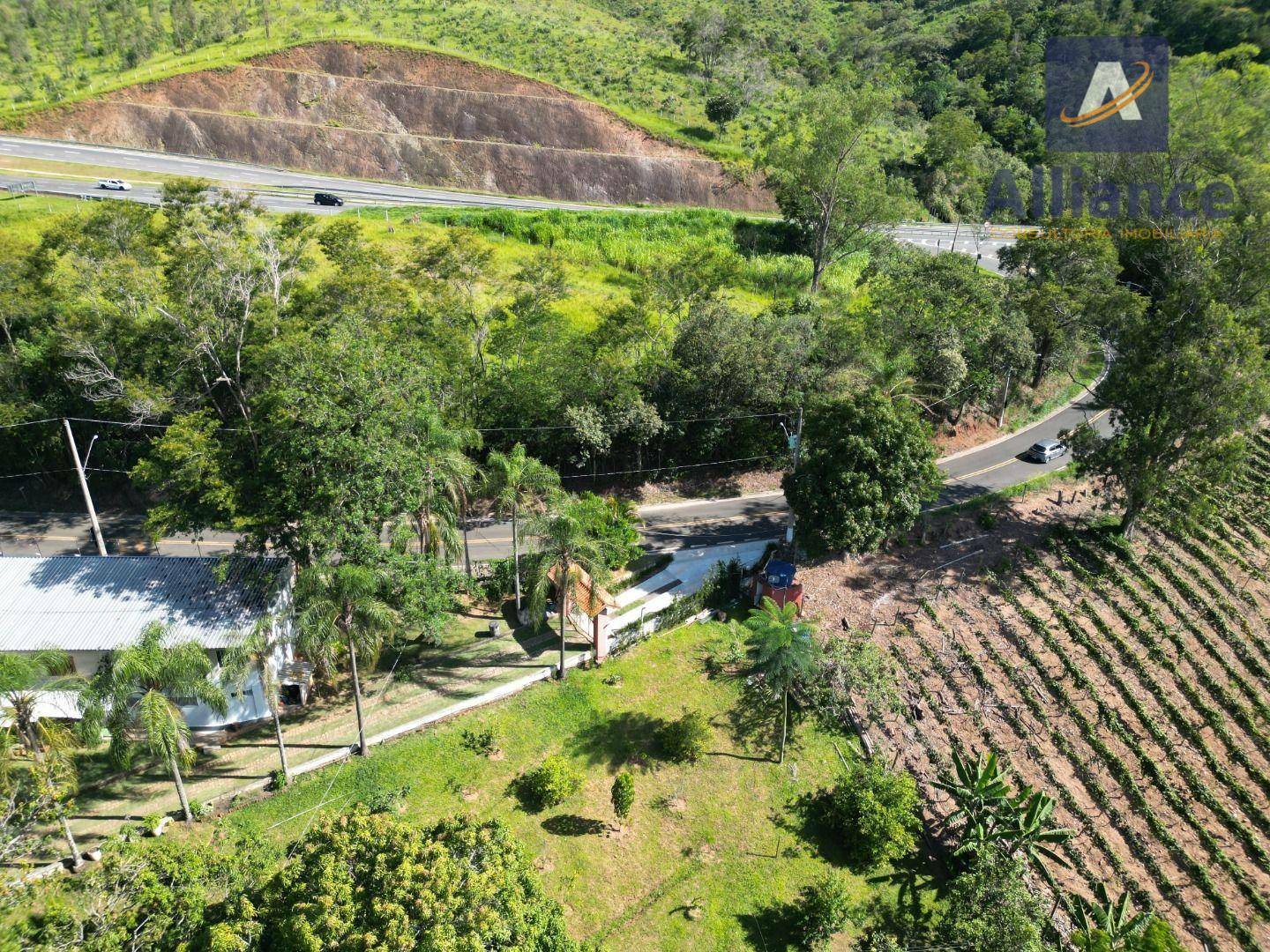 Terreno, 3 hectares - Foto 10